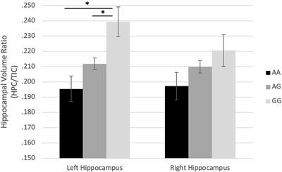 Prenatal Maternal Stress From a Natural Disaster and Hippocampal Volumes: Gene-by-Environment Interactions in Young Adolescents From Project Ice Storm